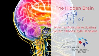 The Hidden brain filter webinar